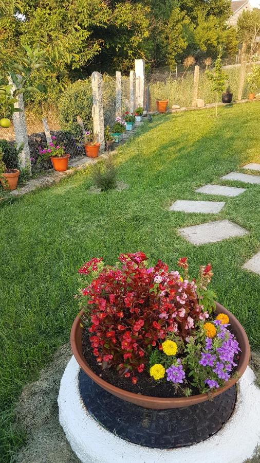 Lar Do Solpor Appartement Allariz